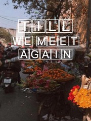 "Till We Meet Again" Until We Meet Again Novel