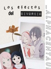 Los Efectos del Divorcio. || 離婚の影響 Sasusaku Novel