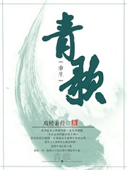 Qingge Danmei Novel