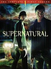 Supernatural season One Shapeshifter Novel