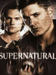 Supernatural Season Seven Book