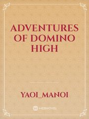 Adventures of Domino High Demi Novel