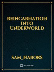 Reincarnation into Underworld Book