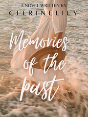 Memories Of The Past (Stand Alone #1) Faith Novel