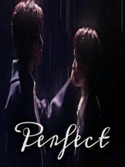 PERFECTLY Perfect Couple Novel