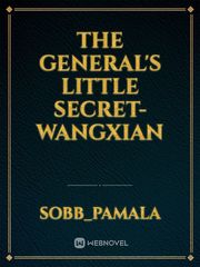 The General's Little Secret-wangxian Wangxian Novel