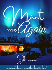 Meet Me Again If I Stay Novel
