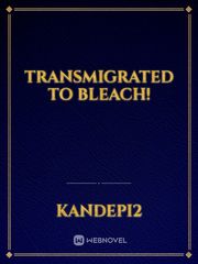 Transmigrated to Bleach! Idea Novel
