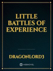 Little Battles of Experience Book
