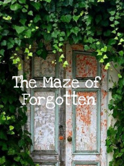 The Maze of Forgotten Book