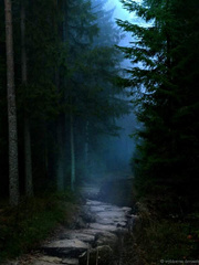 The Midnight Path It Was A Dark And Stormy Night Novel