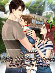 Mr. CEO sweet lover: Little bundle of joy 1stkissmanga Novel