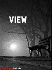 View View Novel