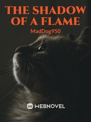 The Shadow of a flame Book