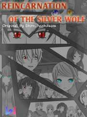 Reincarnation of The Silver Wolf : Kaishi Mirai Nikki Novel