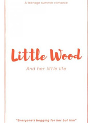 Little Wood *A Summer Romance* Seven Minutes In Heaven Novel