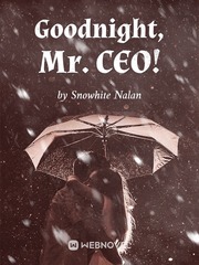 Goodnight, Mr. CEO! Book
