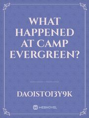 What happened at Camp Evergreen? Book