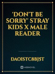 'Don't Be Sorry'
Stray Kids X Male Reader Debut Novel