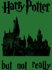 HARRY POTTER AND THE PHILOSOPHER'S STONE... but not really Book
