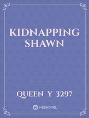 Kidnapping Shawn Kidnap Novel