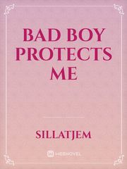 Bad Boy Protects Me Book