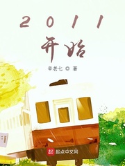 2011开始 2011 Novel