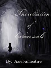the collection of broken souls Glee Novel