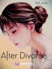After Divorce Pelakor Novel
