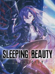 SLEEPING BEAUTY IN THE CITY Book