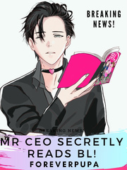 Mr. CEO Secretly Reads BL! Gay Fantasy Novel