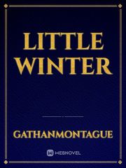 Little Winter Book