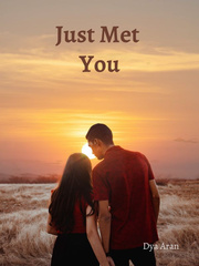 Just Met You Popular Chinese Novel