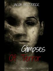 Glimpses Of Terror Book