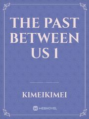 The Past Between Us Book