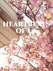 Heartbeats Of Us Kimi No Na Wa Novel