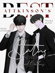 STATUS SERIES: TOPS AND BOTTOMS Trouble Novel