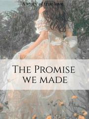 The promise we made Until We Meet Again Novel