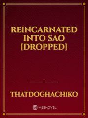 Reincarnated into SAO [DROPPED] Sao Alicization Novel