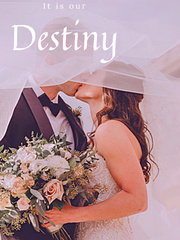 It is our Destiny Erotic Romance Novel