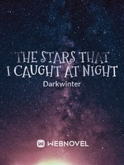 The stars that I caught at night Breath Mints And Battle Scars Novel