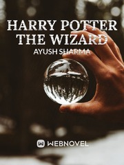 HARRY POTTER THE WIZARDS Just Add Magic Novel