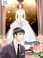 Crazy Wife Vs Cold Husband Kritik Novel