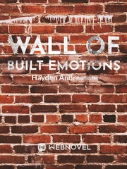 Wall of Built Emotions Book