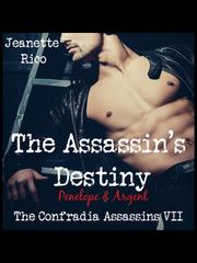 The Assassin's Destiny 305ice Novel