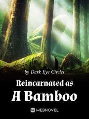 Reincarnated as A Bamboo Book