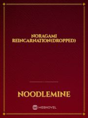 Noragami Reincarnation(Dropped) Book