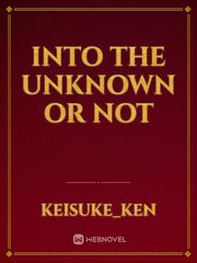 Into the Unknown or Not Boku No Hero Academia Novel