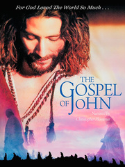 The Gospel of John Given Novel
