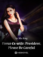 Fierce Ex-wife: President, Please Be Careful Book